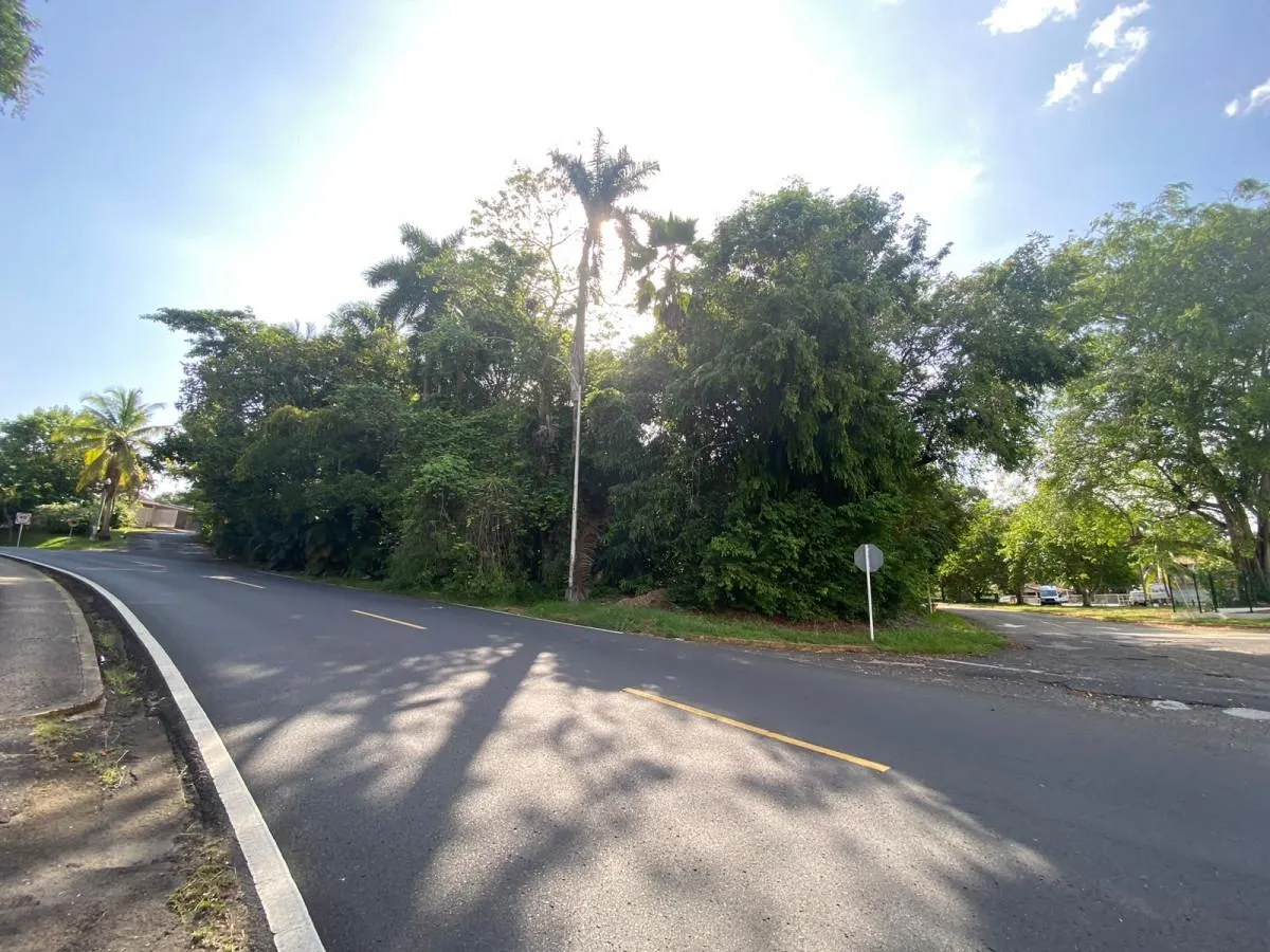 Corner Residential Lot in Diablo | 666 m² |