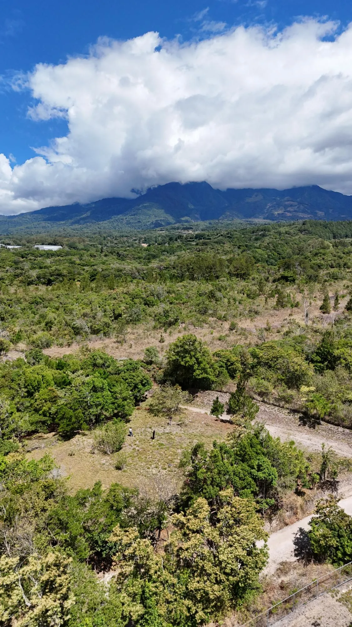 Hermoso Lote en Venta en Alto Boquete con Vistas al Volcan