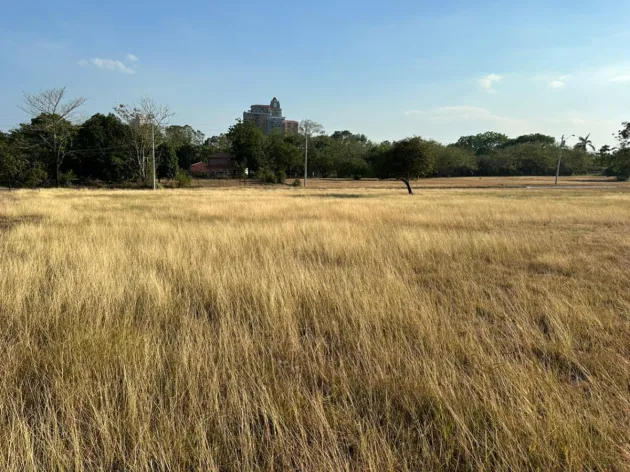 Venta de terreno en Coronado, Palmeras del Golf