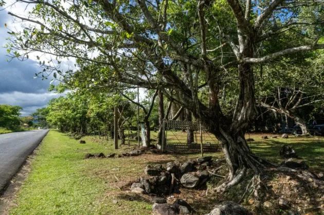 Oportunidad Terreno Potrerillos Panamá