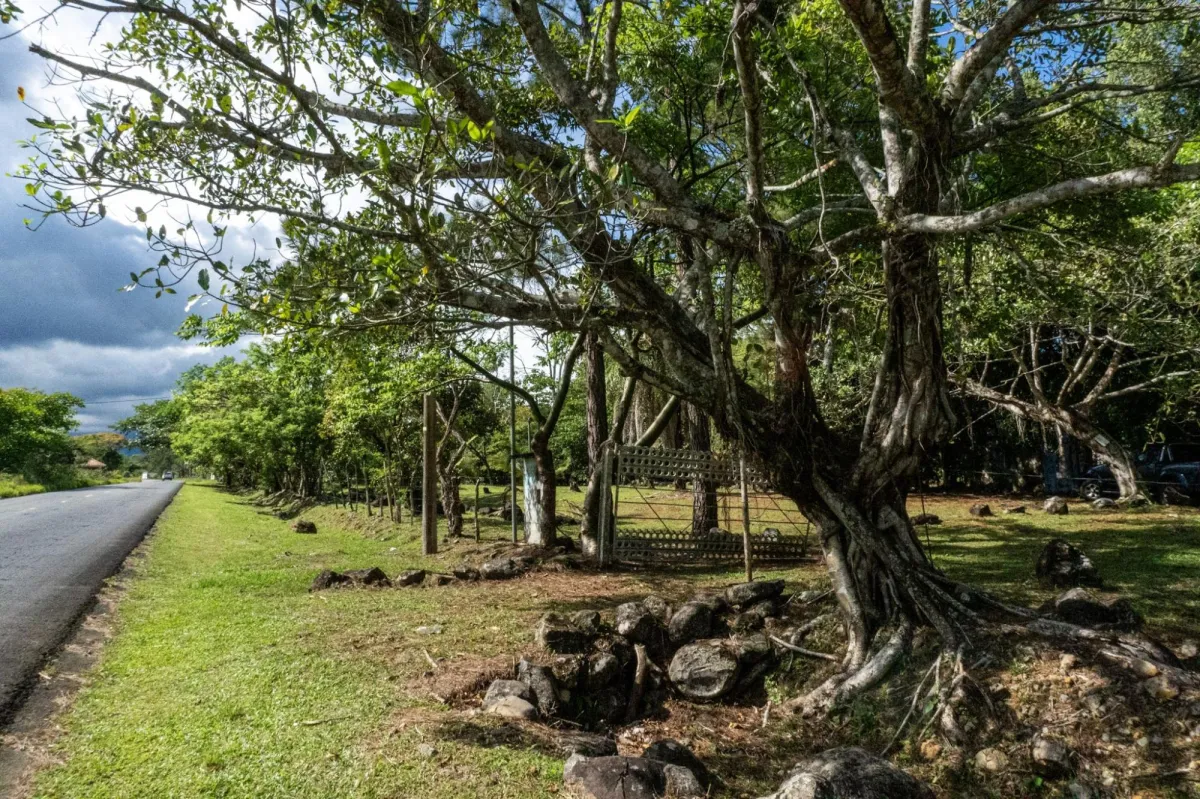 Oportunidad Terreno Potrerillos Panamá