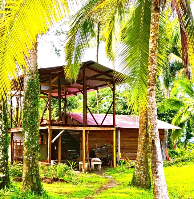 3 Hectares of Caribbean Oceanfront
