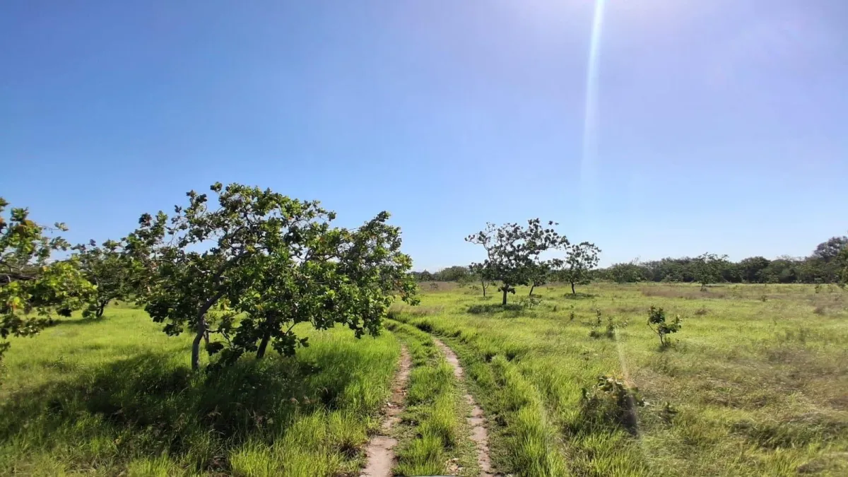 43 hectare plot of land in El Espino, Anton, Cocle