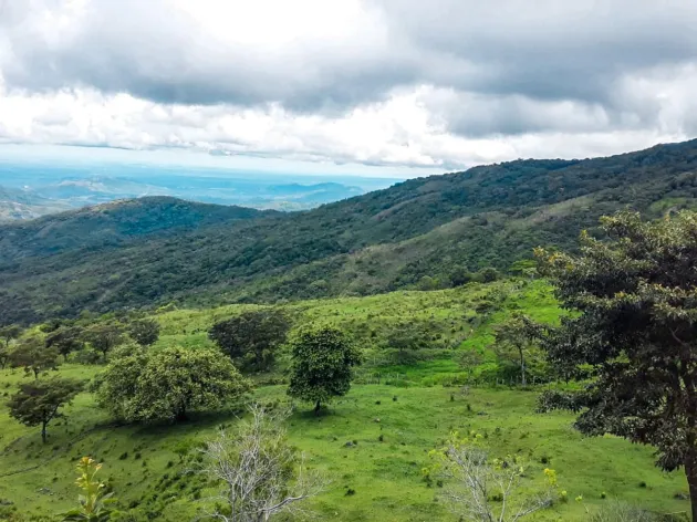 Terreno de 11 Hectáreas en Venta en Caldera Boquete