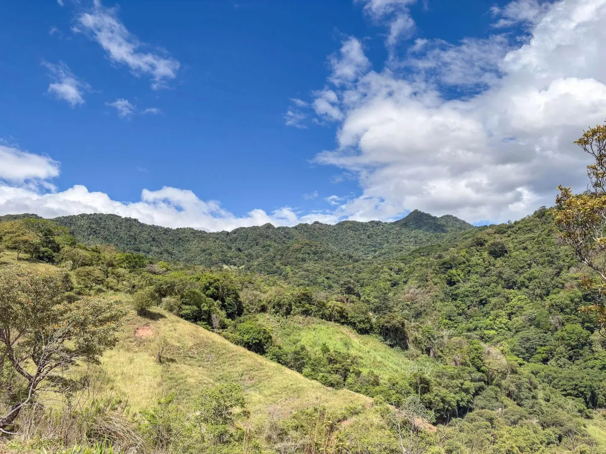 Terreno en Venta en Hornito, Gualaca, Chiriquí